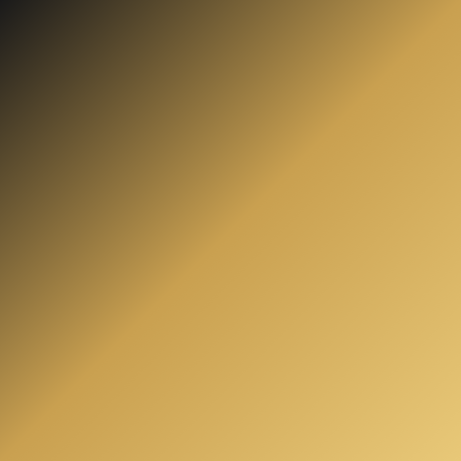 Main Character Energy