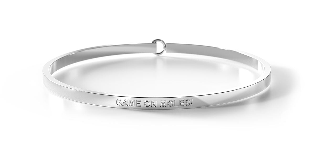 Game On Moles