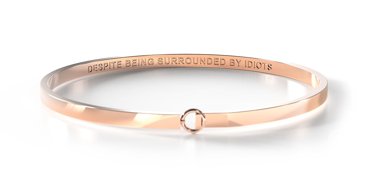 Nevertheless She Persisted (Despite Being Surrounded By Idiots) - SECRET BANG