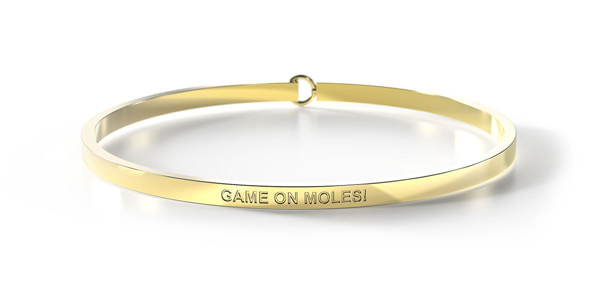 Game On Moles