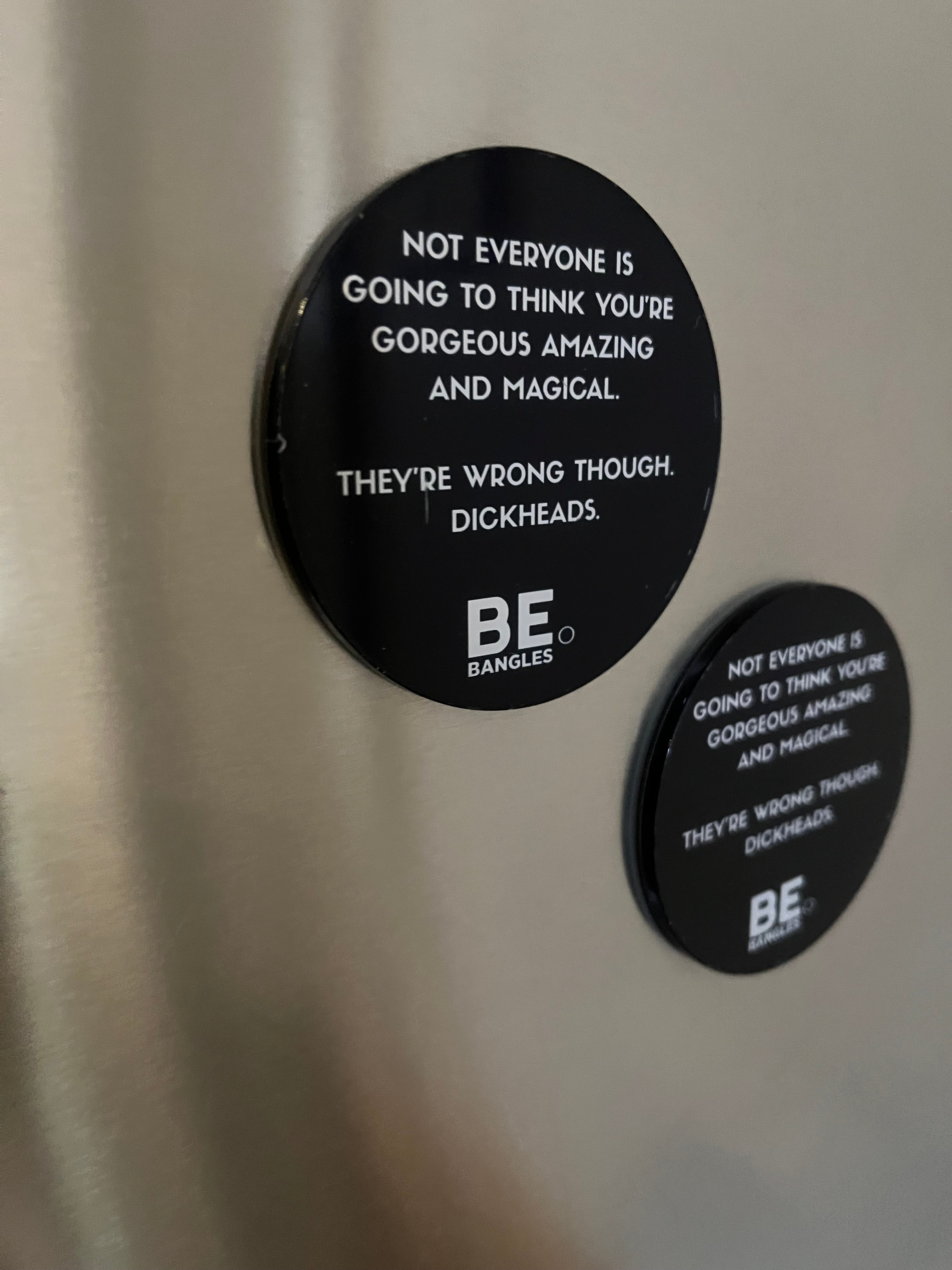 Cheeky Fridge Magnets